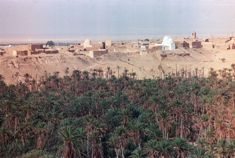 20110327_017.jpg
