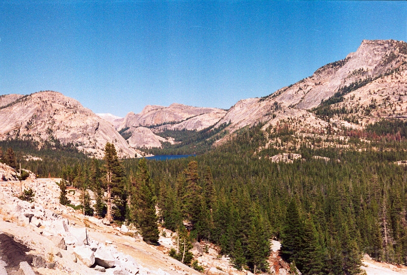 20110322_014.jpg
