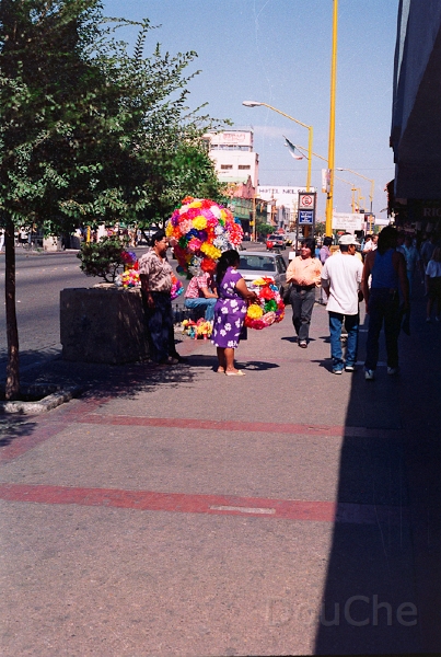 20110321_037.jpg
