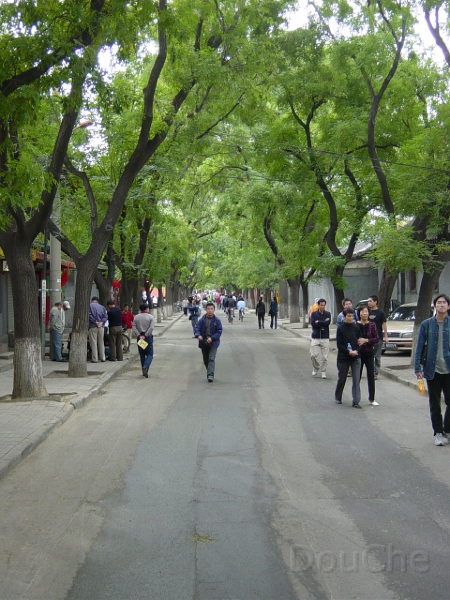 JP_DSC05215.jpg