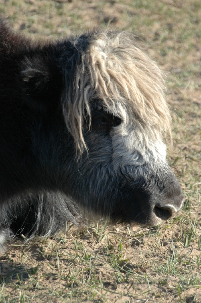 MP_DSC_0271.jpg