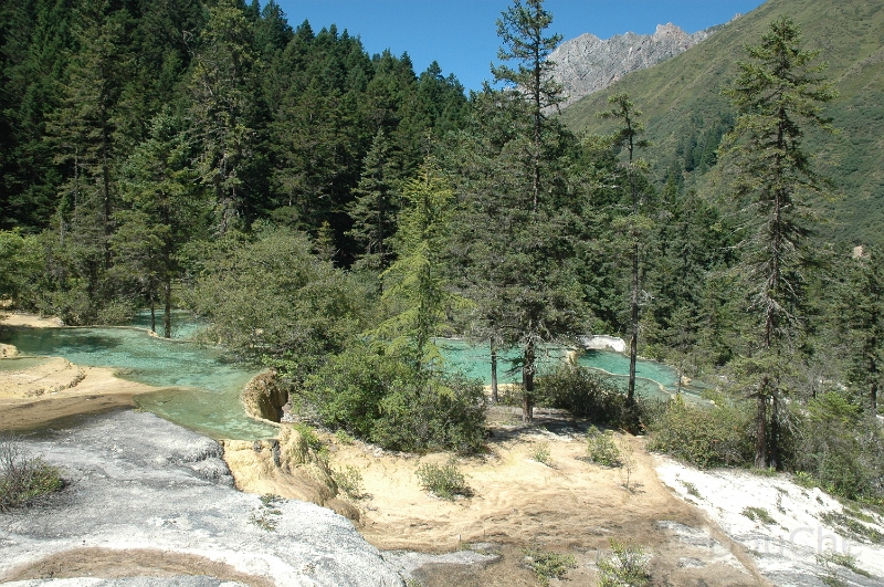 DSC_0036.jpg