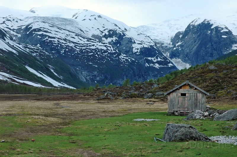 DSC_0509_out.jpg