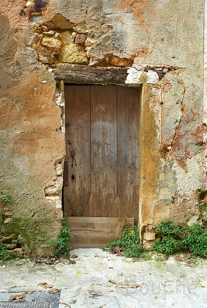 L1003737_800.jpg