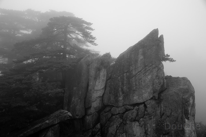 DSC_5044.jpg